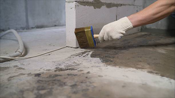 24/7 Emergency Wet Basement Repair experts in Rodney, MI